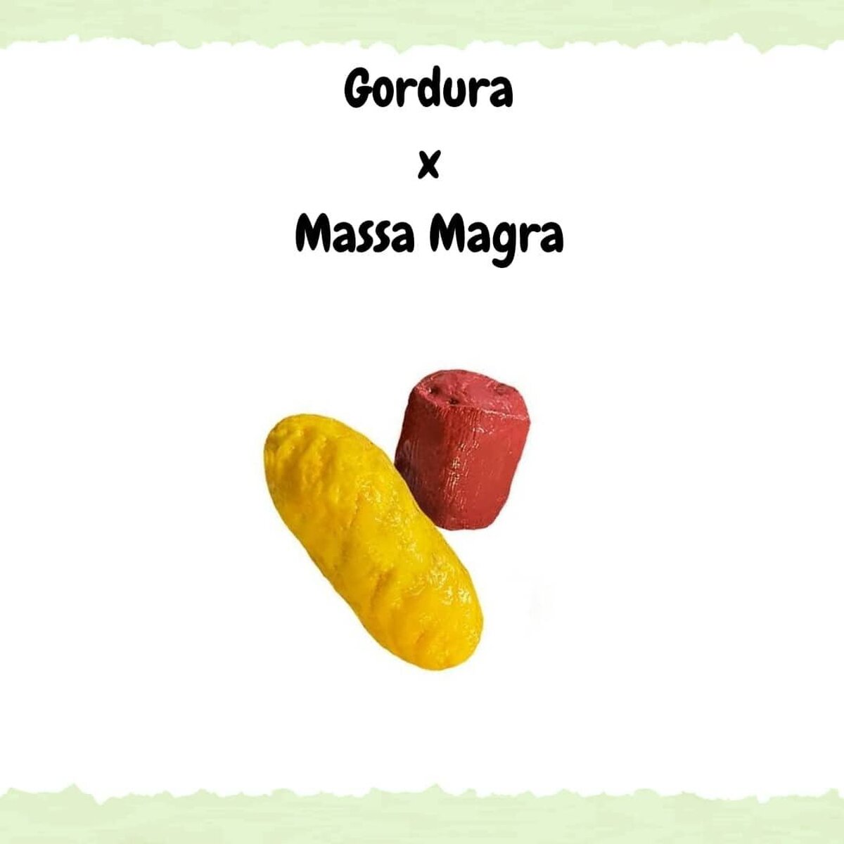 Gordura x massa Magra