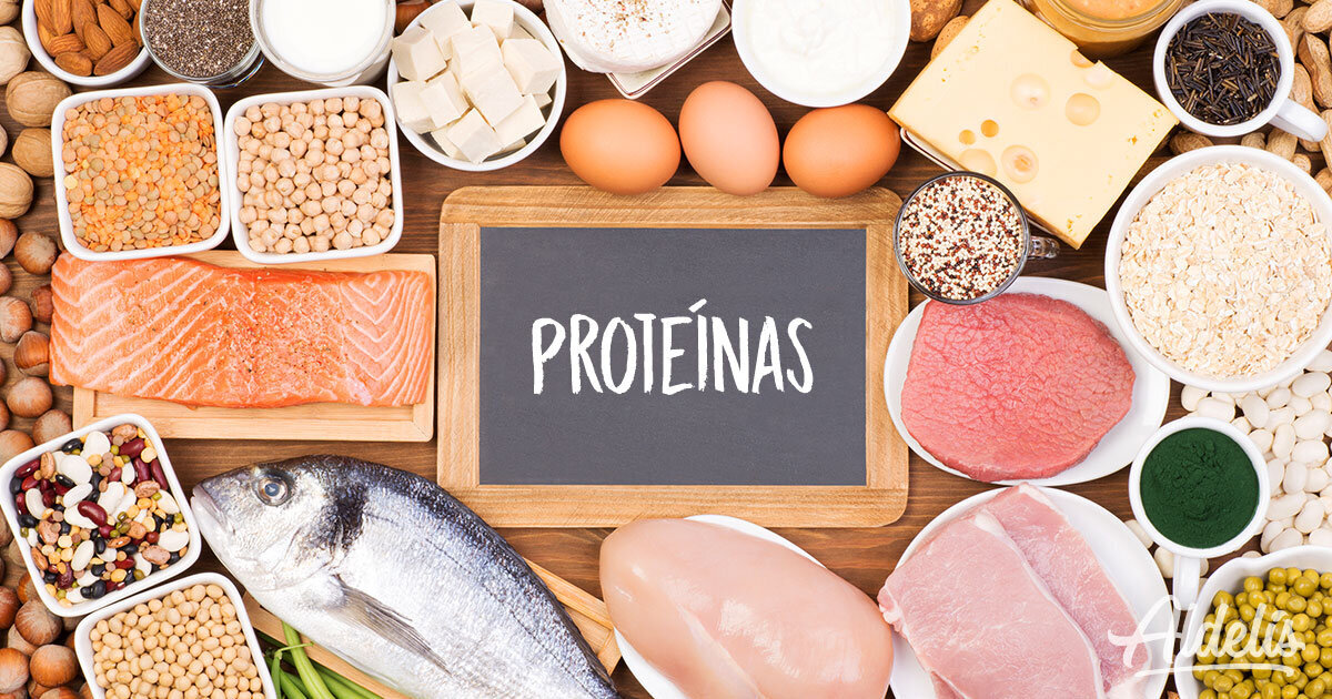 O que são Proteínas ?