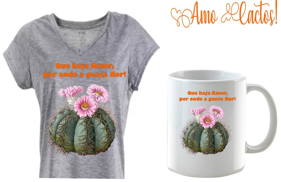 Kit: Baby Look + Caneca Que haja amor!