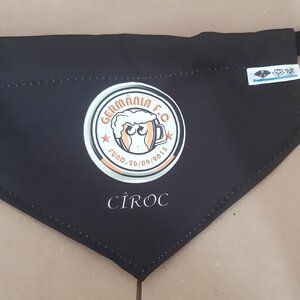 Coleira bandana personalizada 