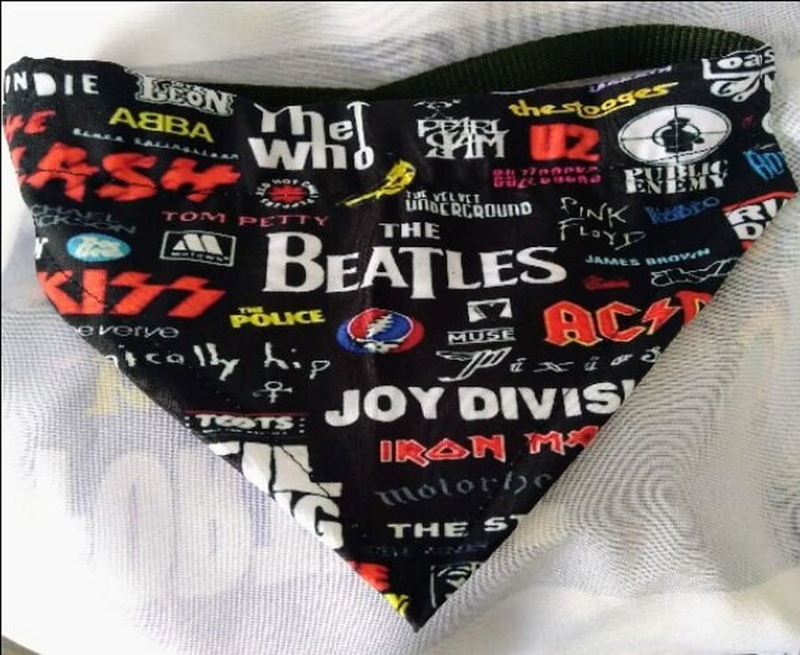 Coleira bandana personalizada 